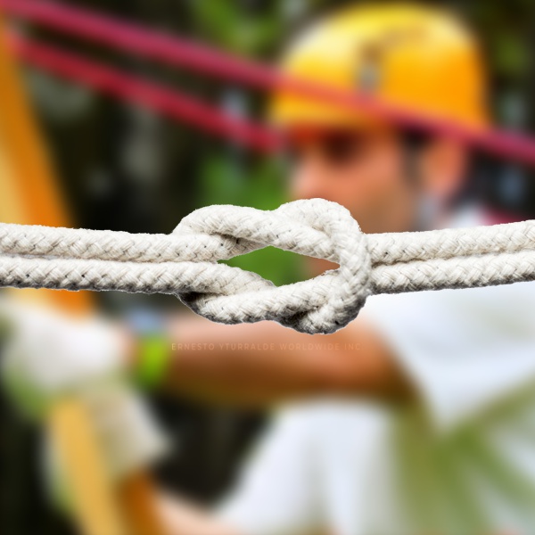 Talleres de Cuerdas Bajas | Team Building Empresarial para el desarrollo de equipos de trabajo